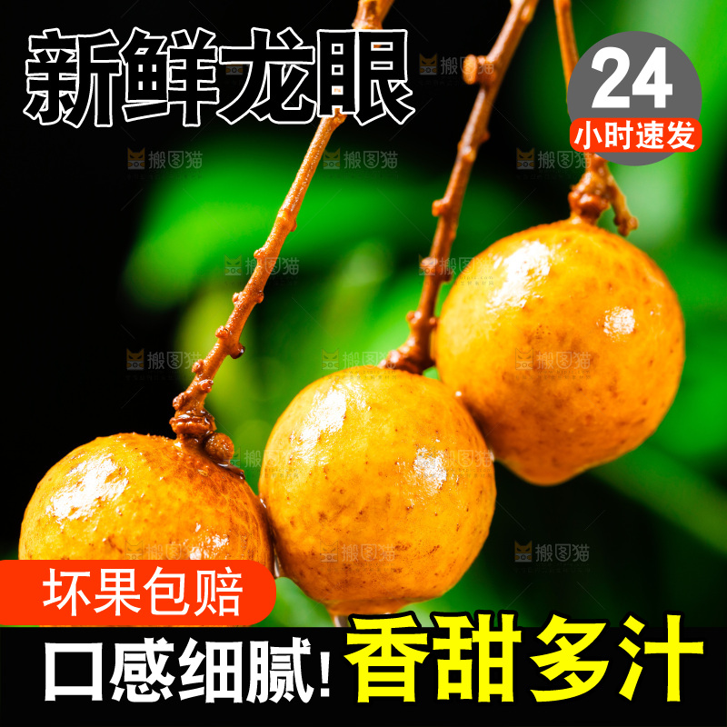 深底上的泰国龙眼