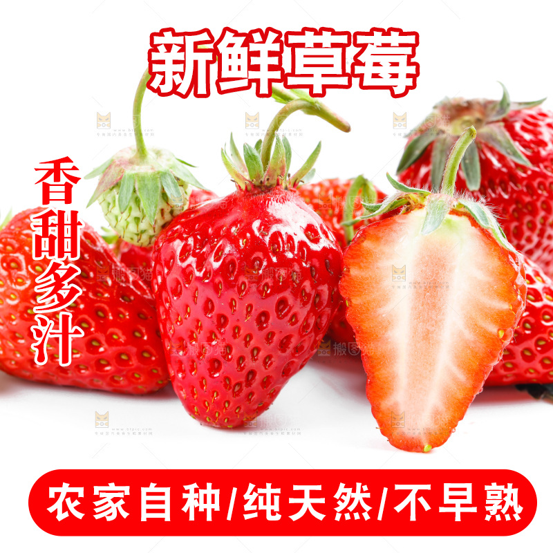 白底上放着99草莓