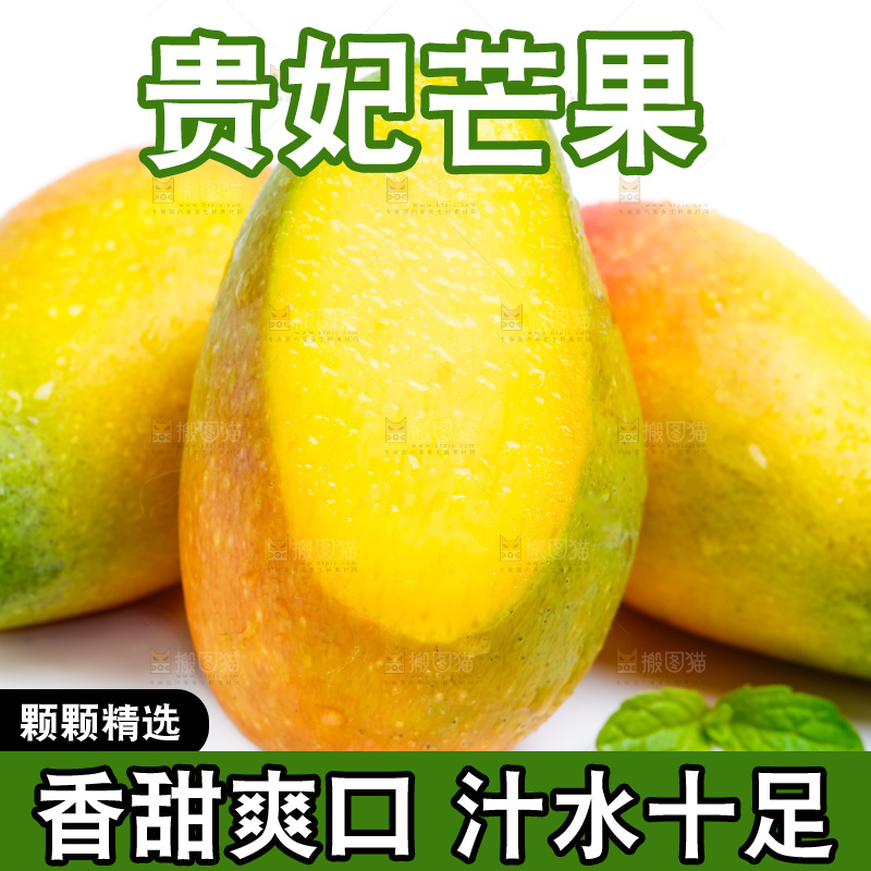 新鲜贵妃芒放在白底上