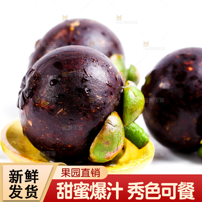 新鲜山竹放在白底上