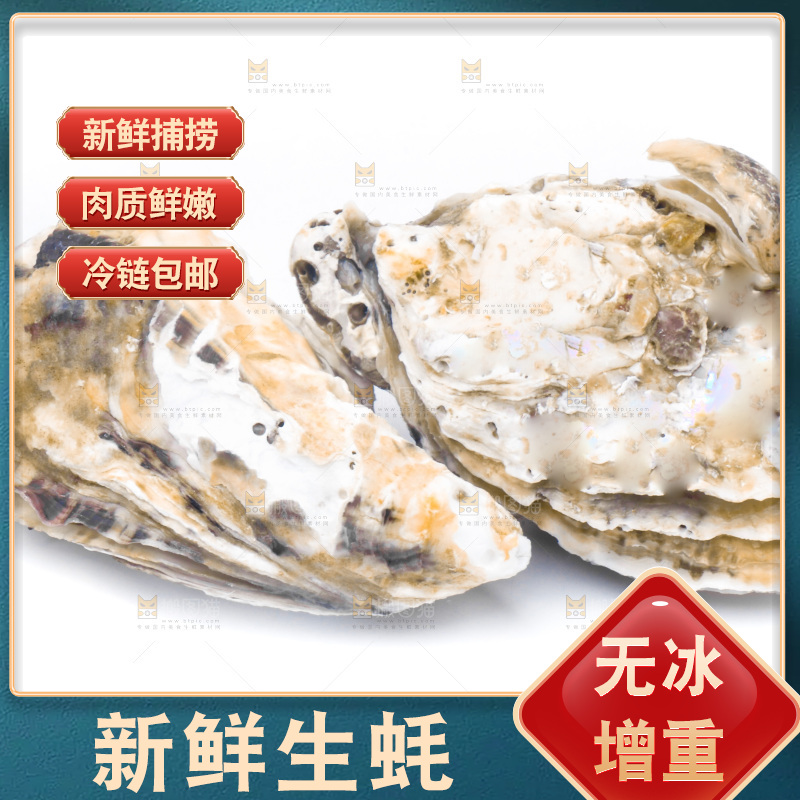 乳山生蚝放在白底上