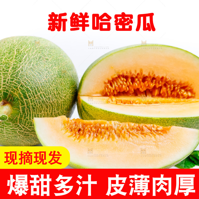 新鲜哈密瓜放在白底上