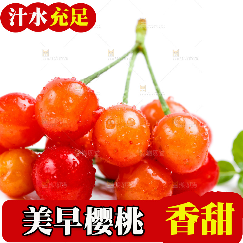 白底上的樱桃