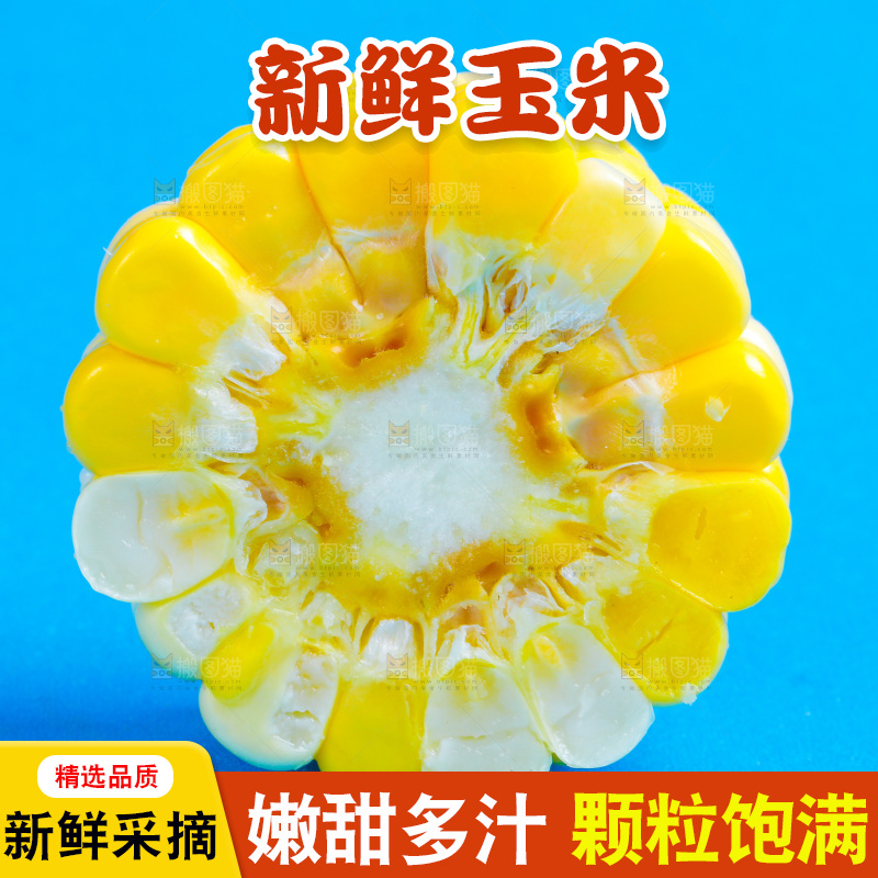 蓝底上放着云南水果甜玉米