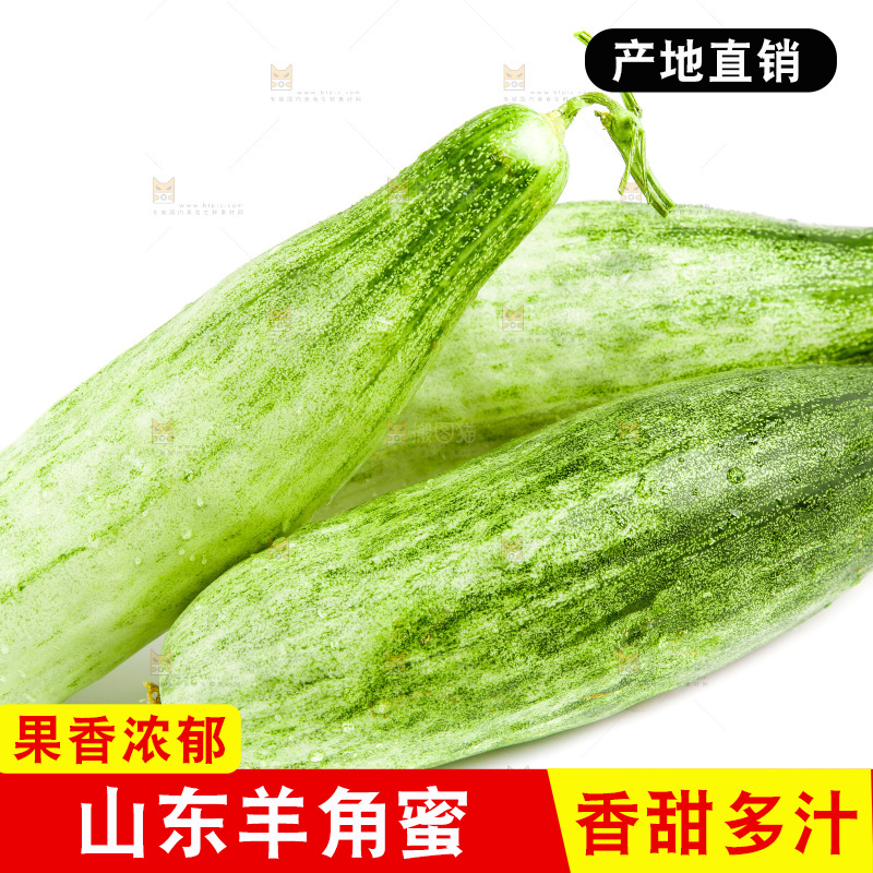 白底上的山东羊角蜜甜瓜