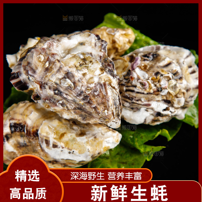 黑底上放着生蚝