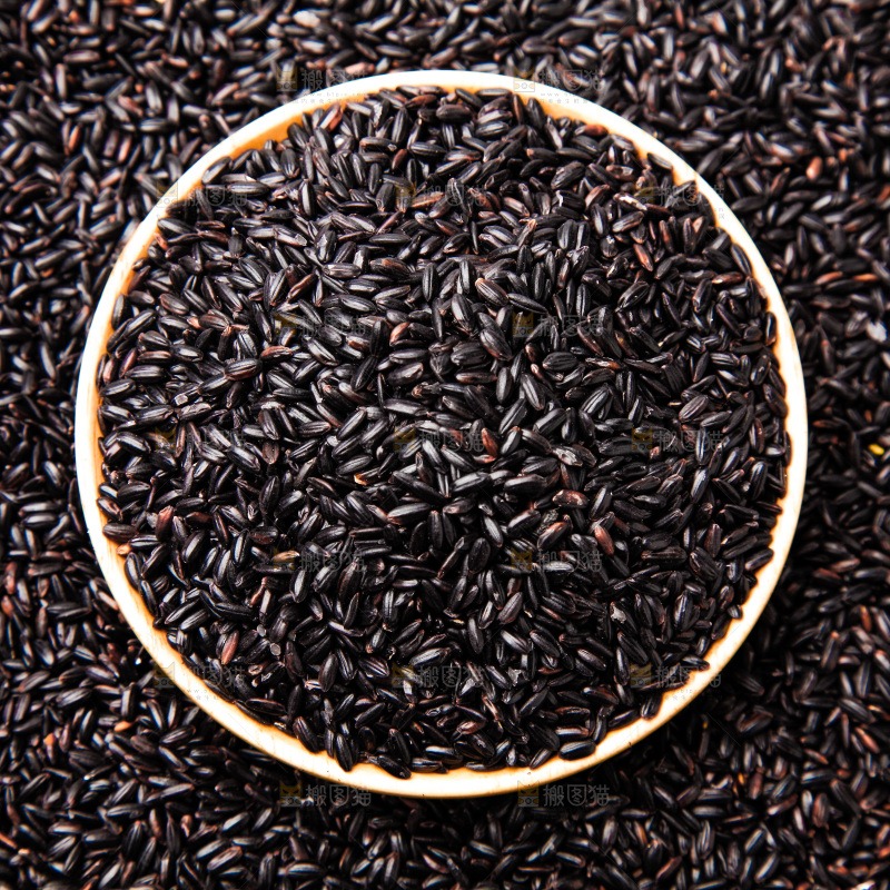 一碗东北黑米放在白底上