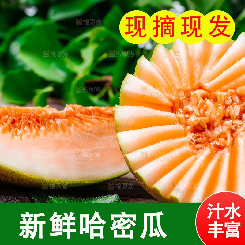 新鲜哈密瓜放在木底上