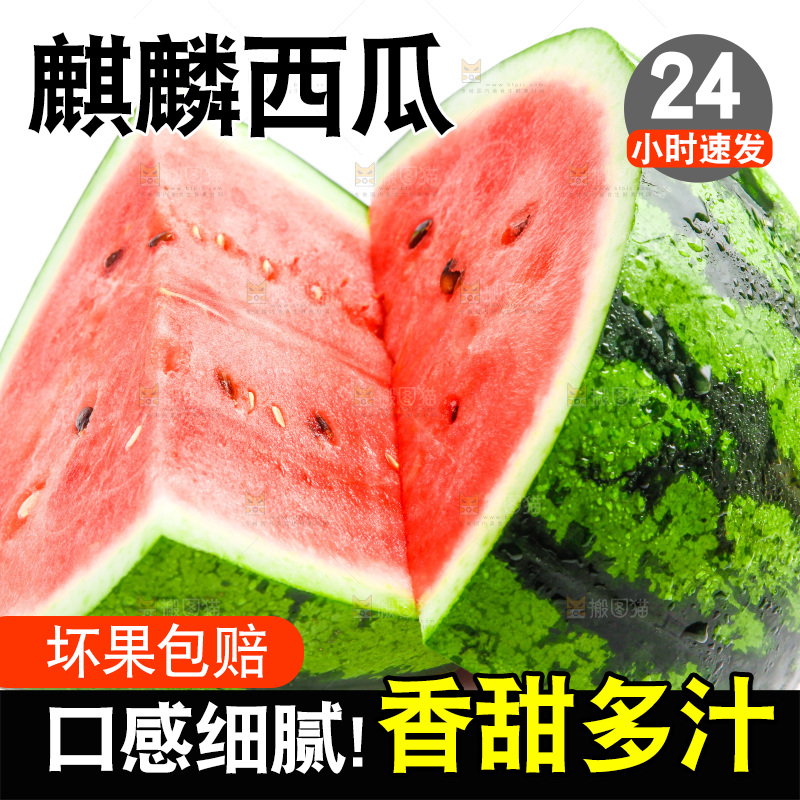 切开的麒麟西瓜放在白底上
