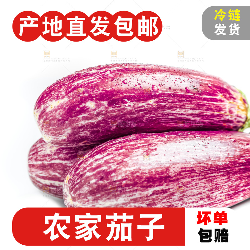 新鲜茄子放在白底上