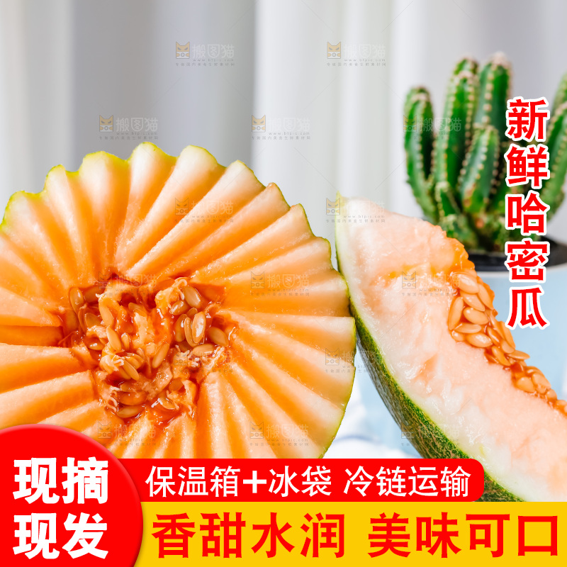 格子布上放着新鲜哈密瓜