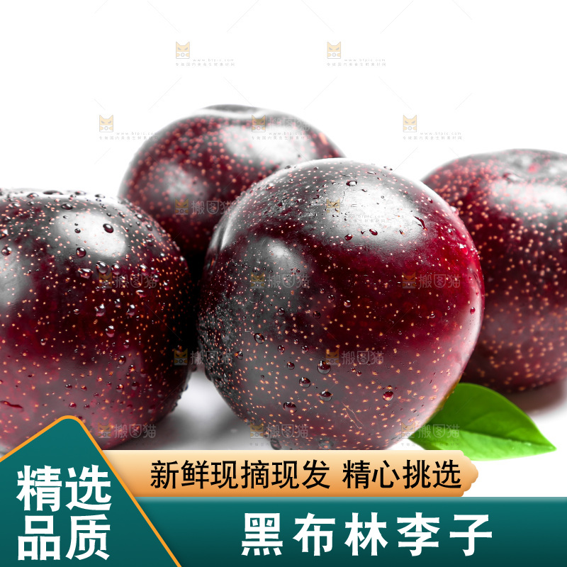 白底上的黑布林