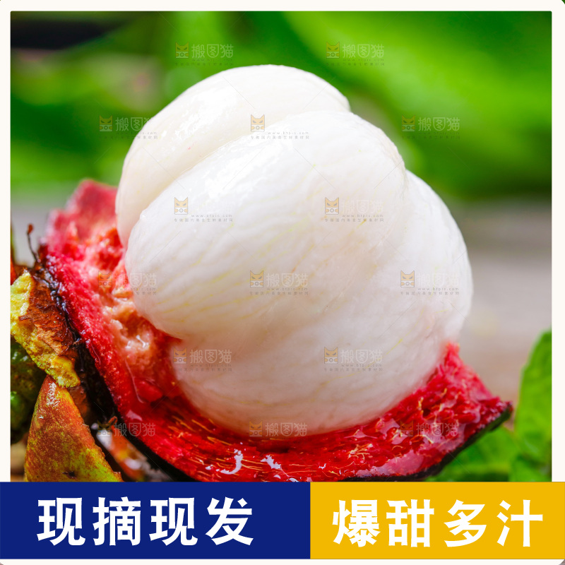 木底上的新鲜山竹