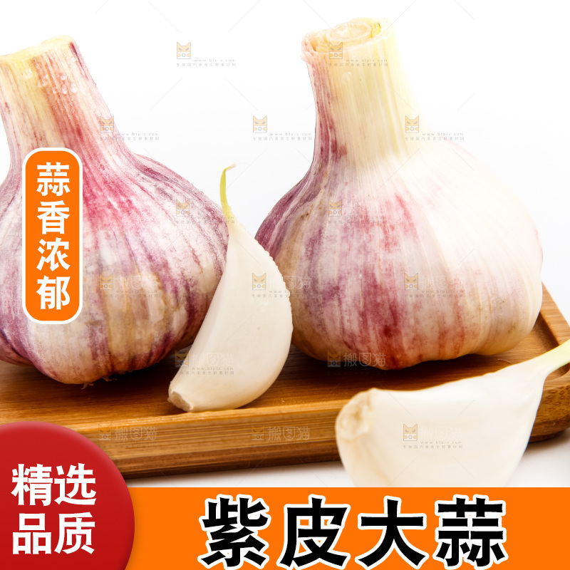 紫皮大蒜放在白底上