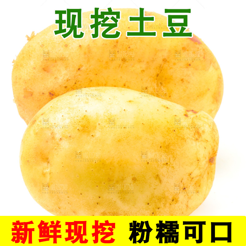 白底上的新鲜土豆