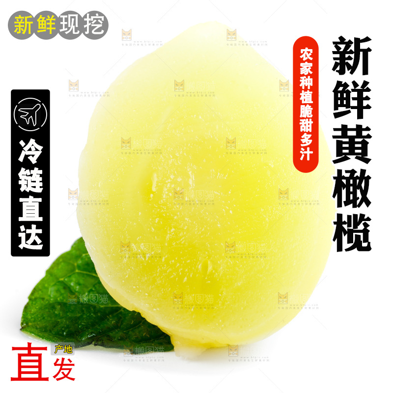 白底上的黄橄榄