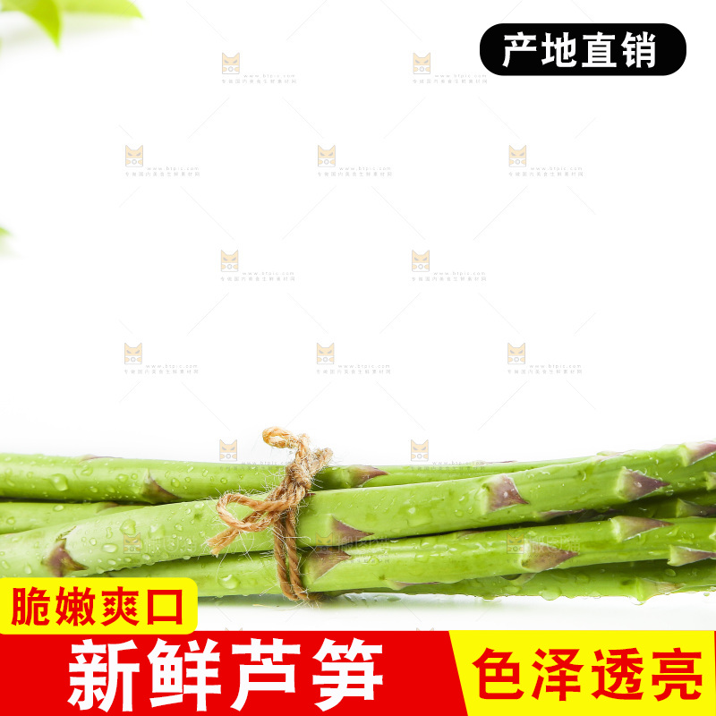 白底上的山东青芦笋