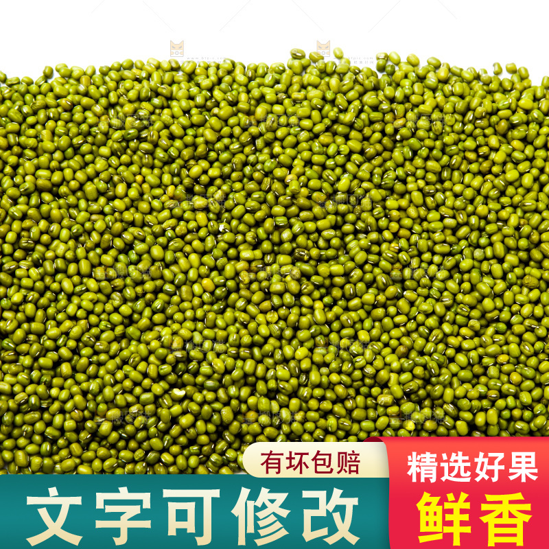 新鲜绿豆放在白底上
