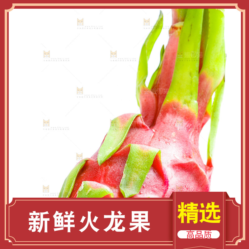 白底上的火龙果