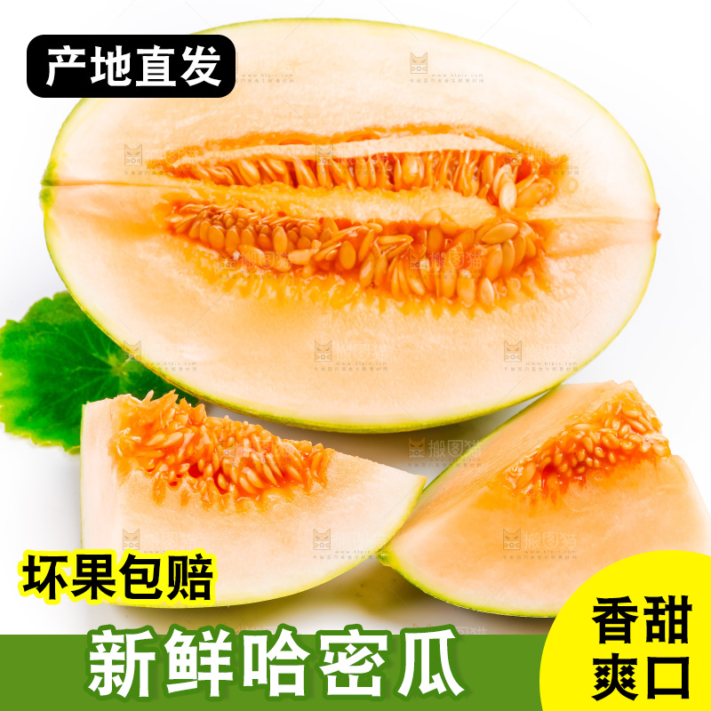 新鲜哈密瓜放在白底上