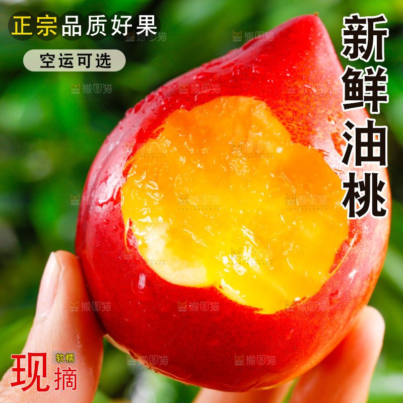 手拿黄心油桃