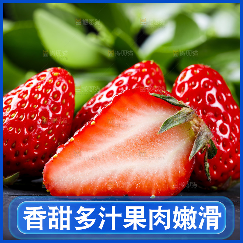 丹东草莓放在深底上
