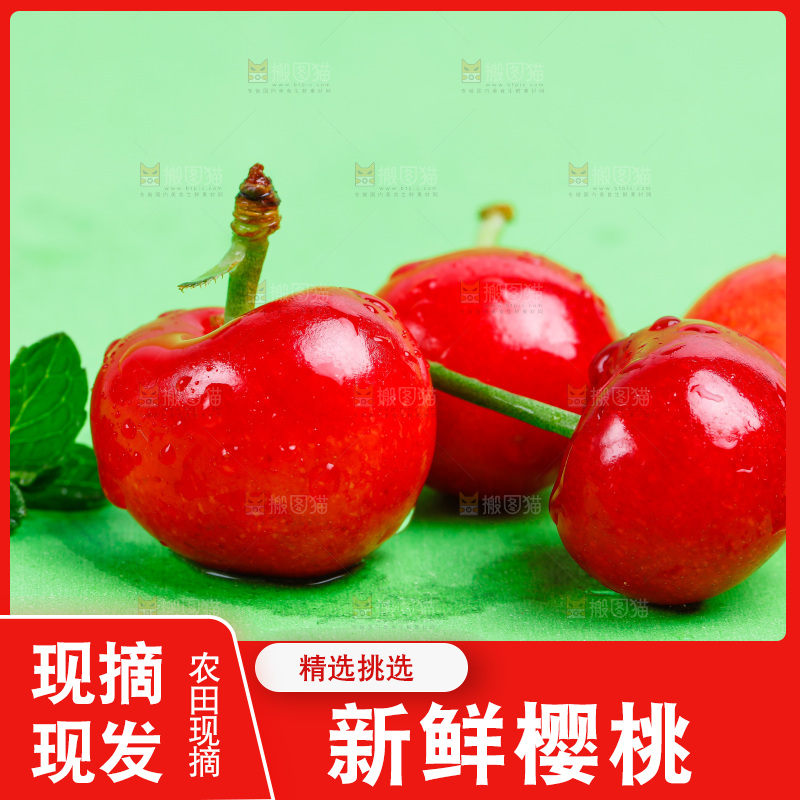 烟台樱桃放在浅底上