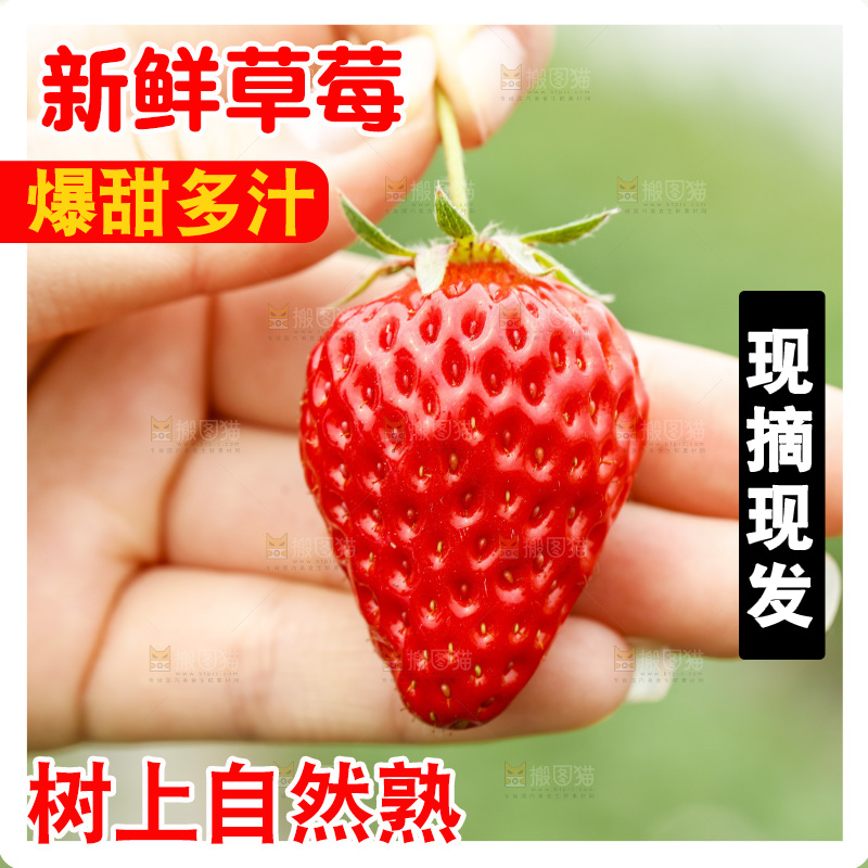 手拿草莓