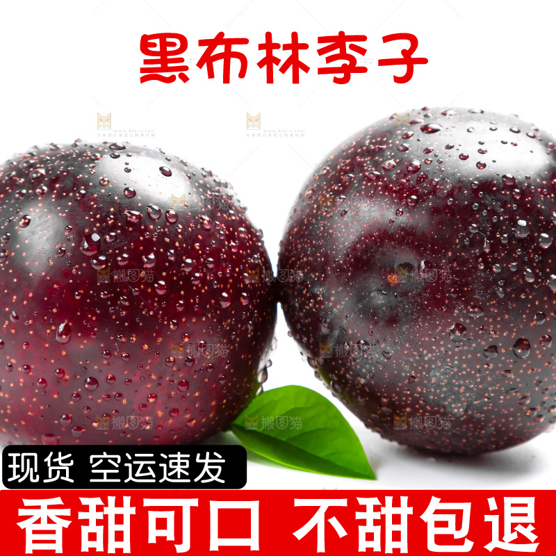 白底上的黑布林