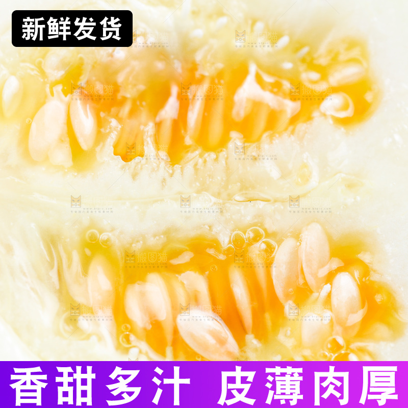 白底上的阎良甜瓜