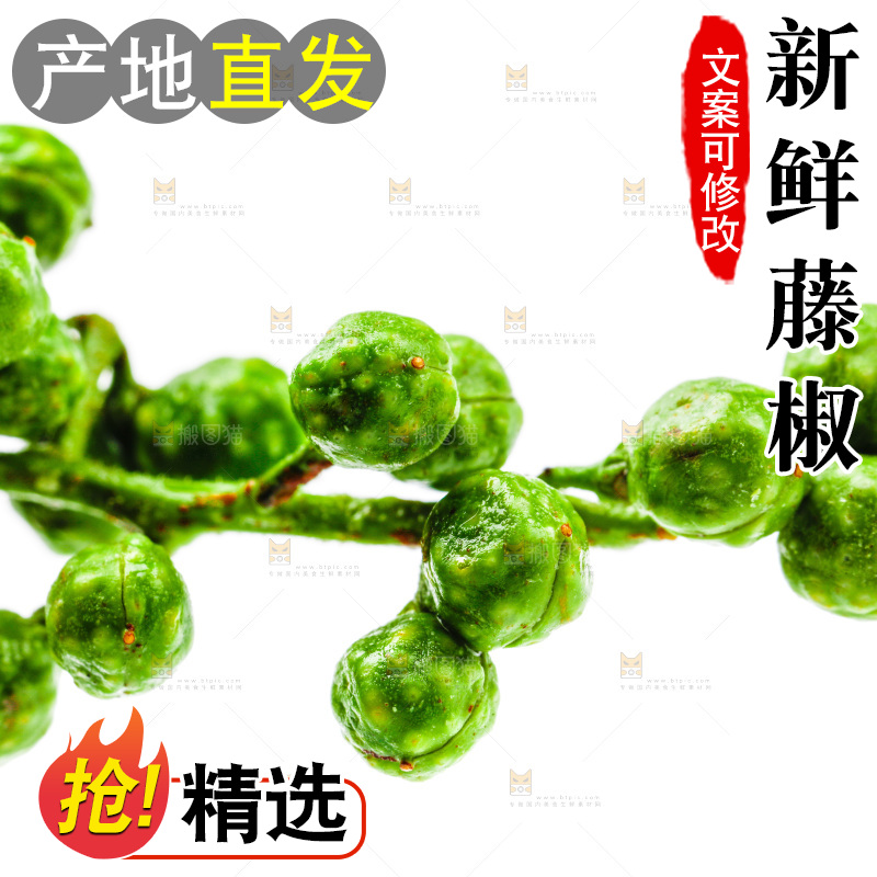 白底上的新鲜藤椒
