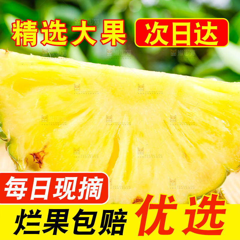 云南香水小菠萝放在白底上