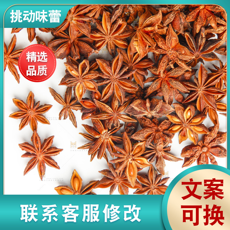 广西八角放在白底上