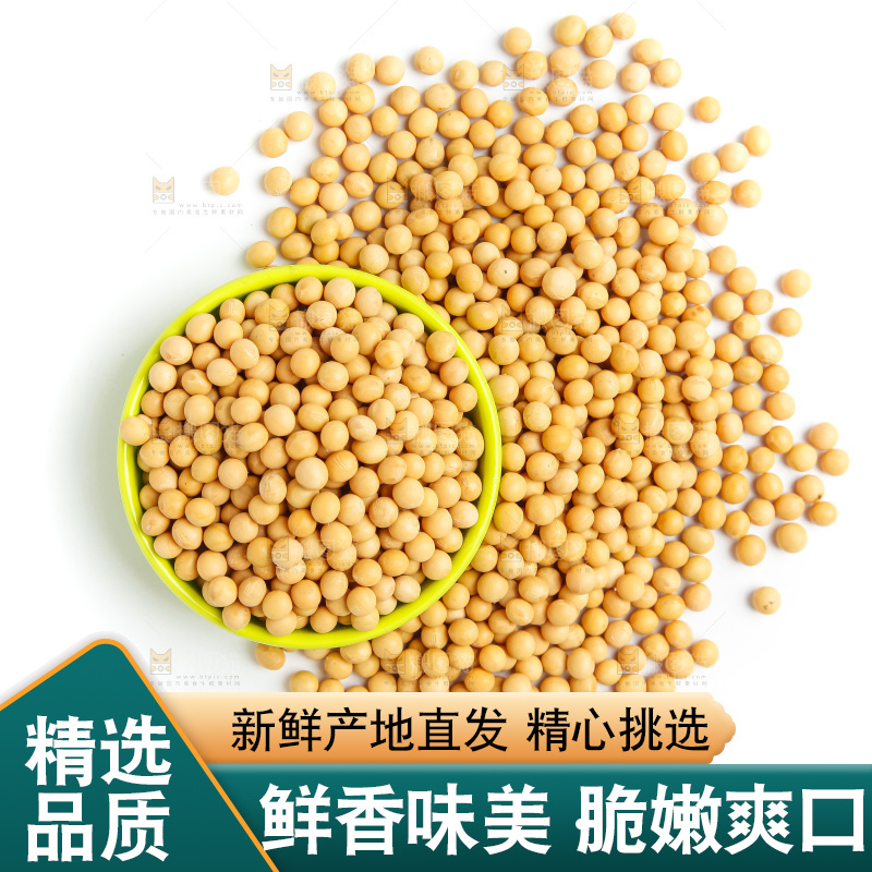 一碗黄豆放在白底上