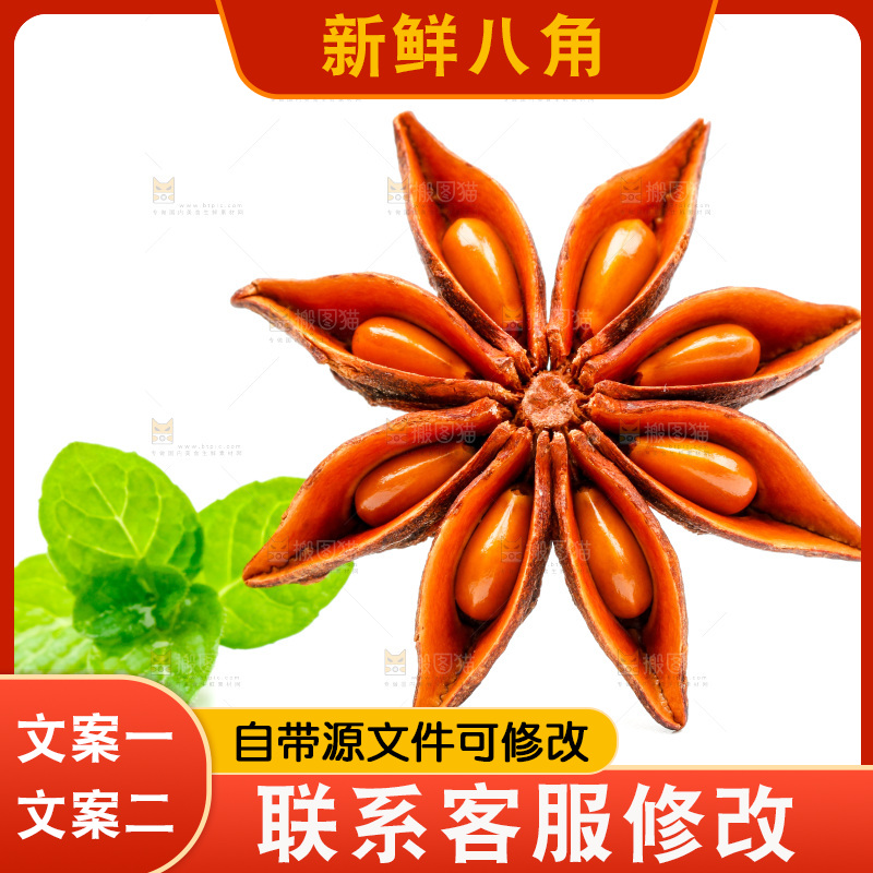 广西八角放在白底上