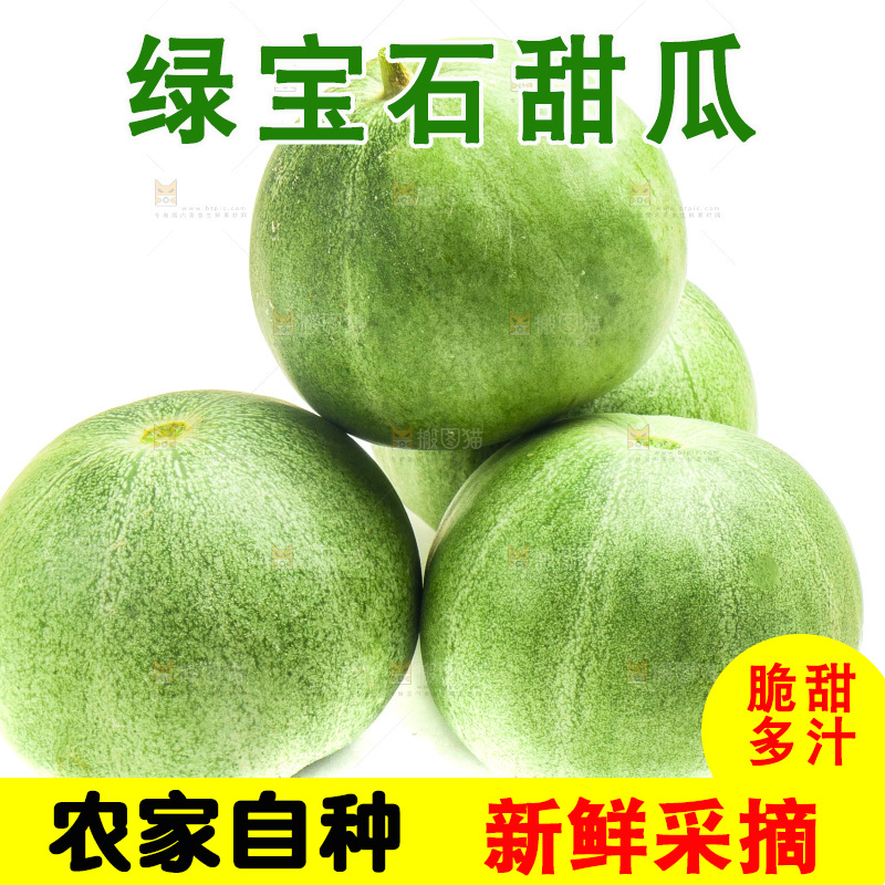 白底上放着山东绿宝甜瓜
