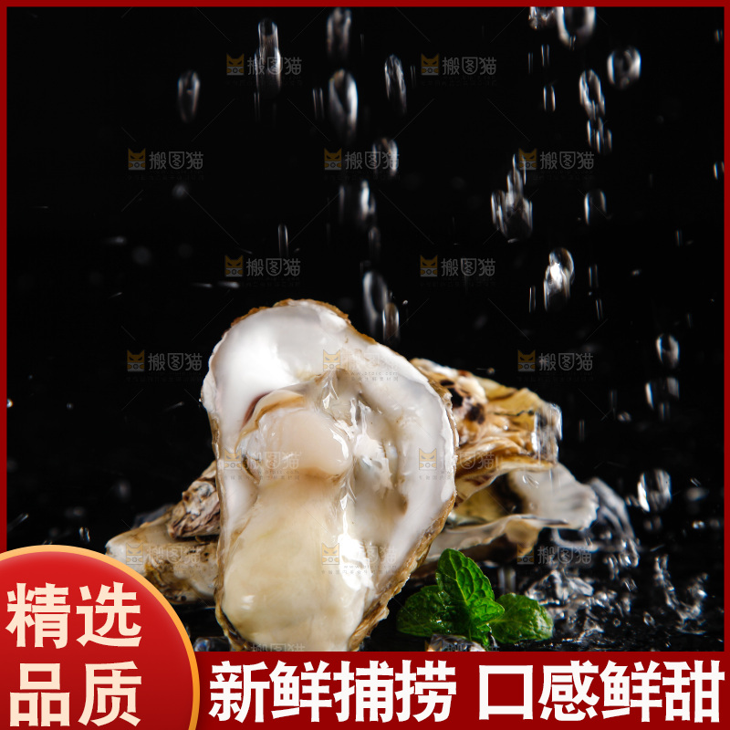 黑底上放着生蚝