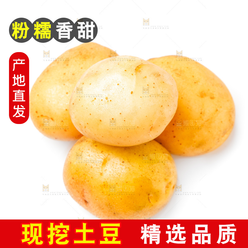 白底上的土豆