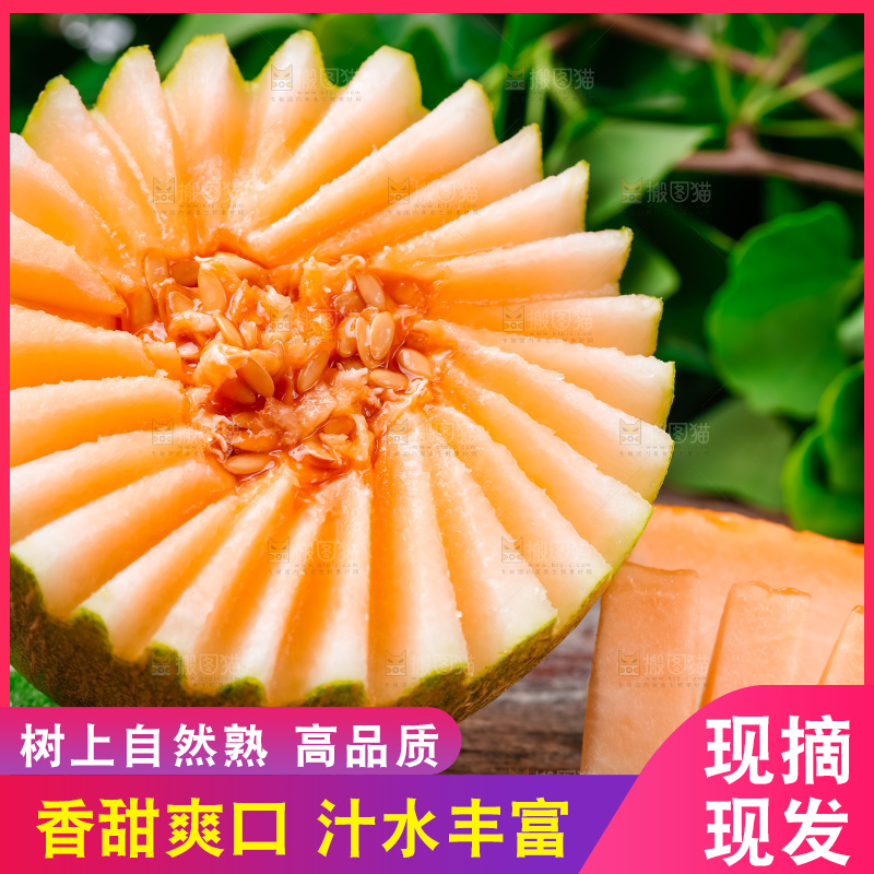 新鲜哈密瓜放在木底上