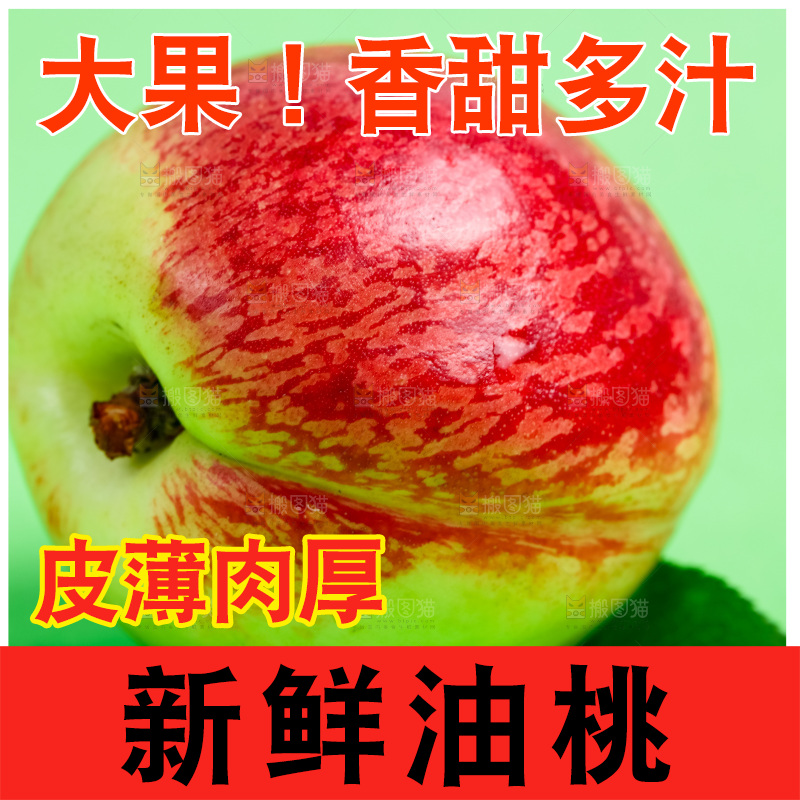 浅底上的新鲜油桃