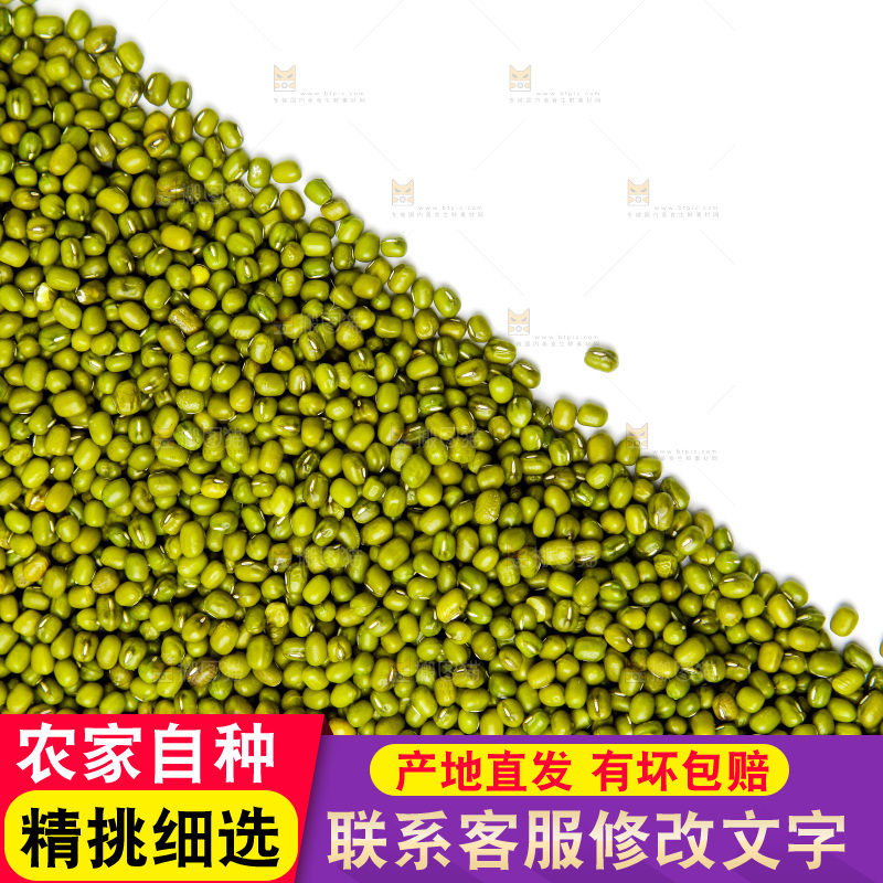 新鲜绿豆放在白底上