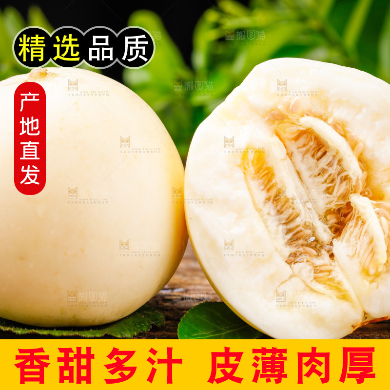 木底上的阎良甜瓜