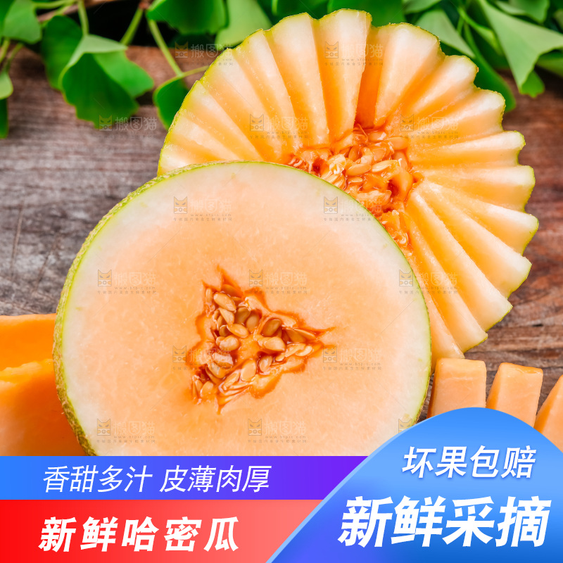 新鲜哈密瓜放在木底上