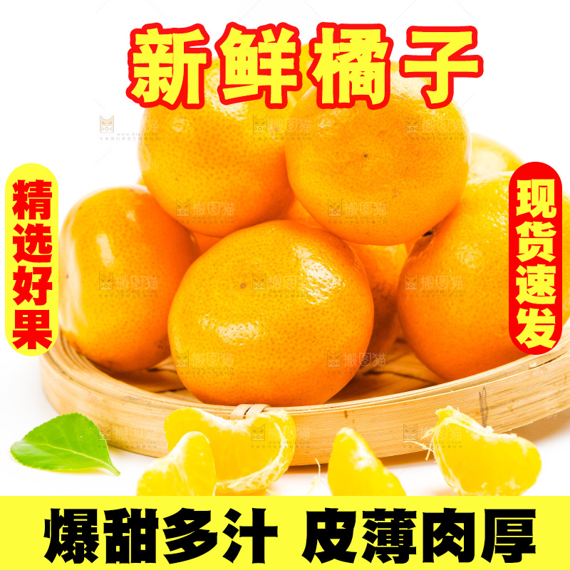 新鲜橘子放在白底上