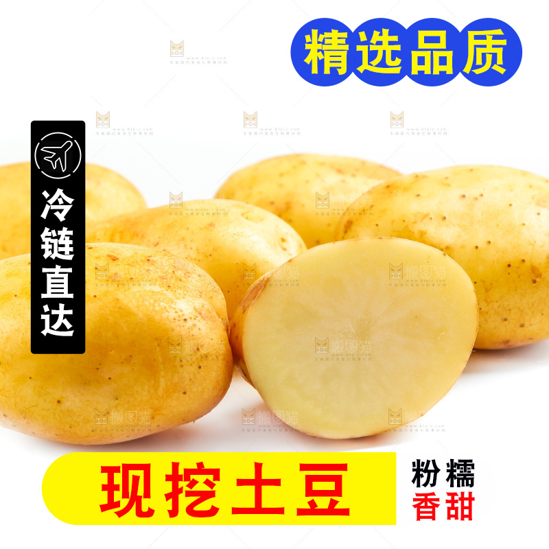 白底上放着云南黄心土豆