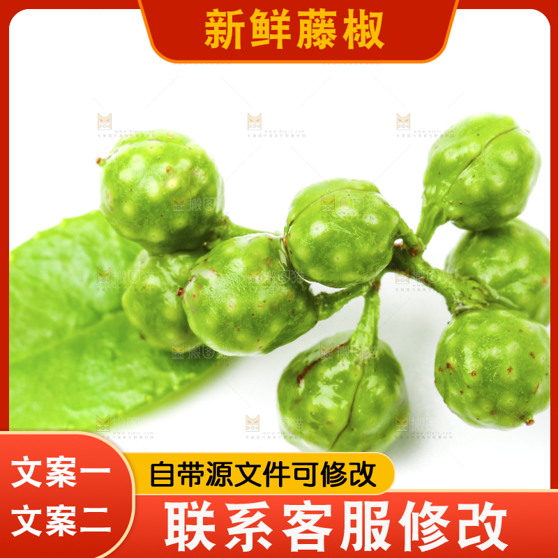 新鲜麻椒放在白底上