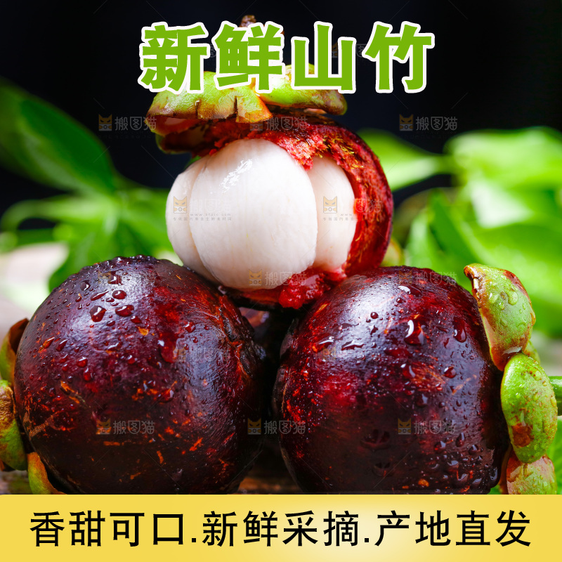 木底上的新鲜山竹