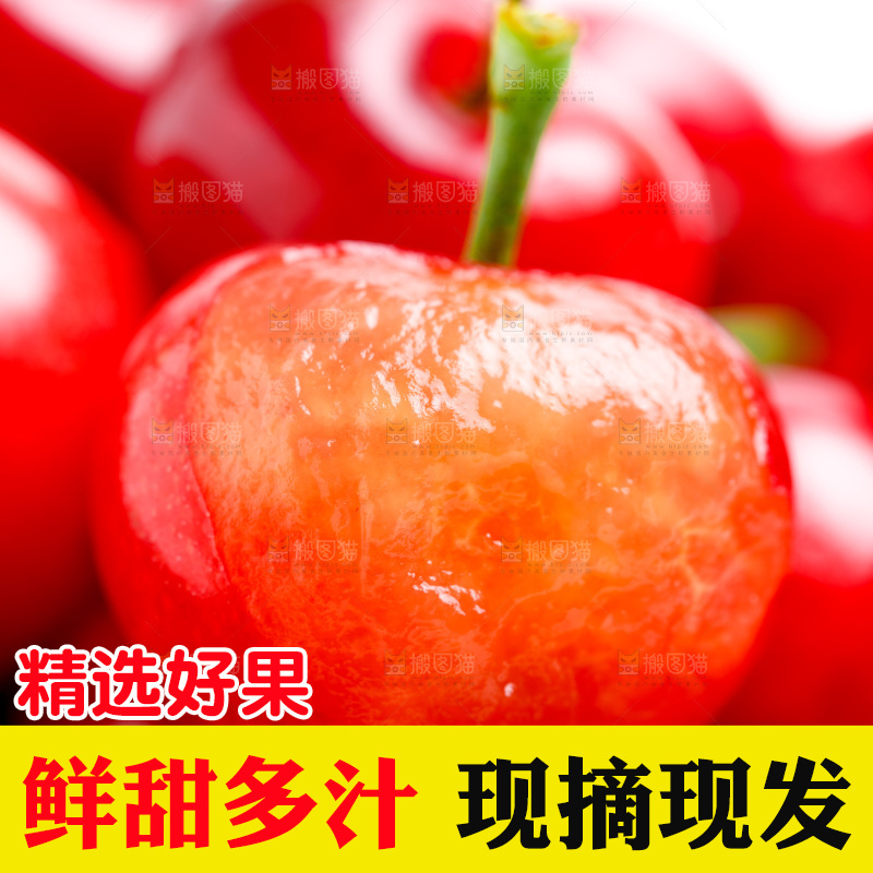 白底上的新鲜樱桃