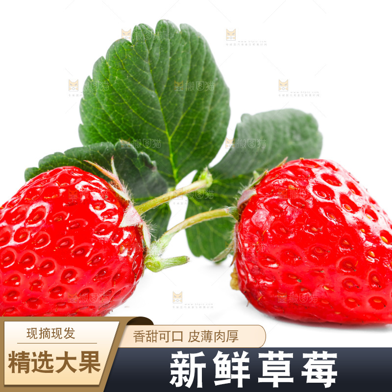 白底上的丹东草莓