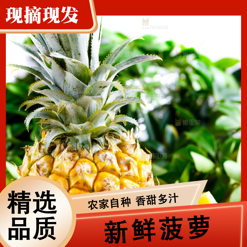 木底上放着香水小菠萝